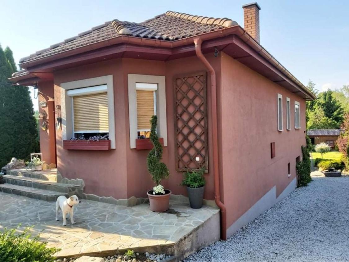 Nyirjes Vendégház Balassagyarmat Exterior foto