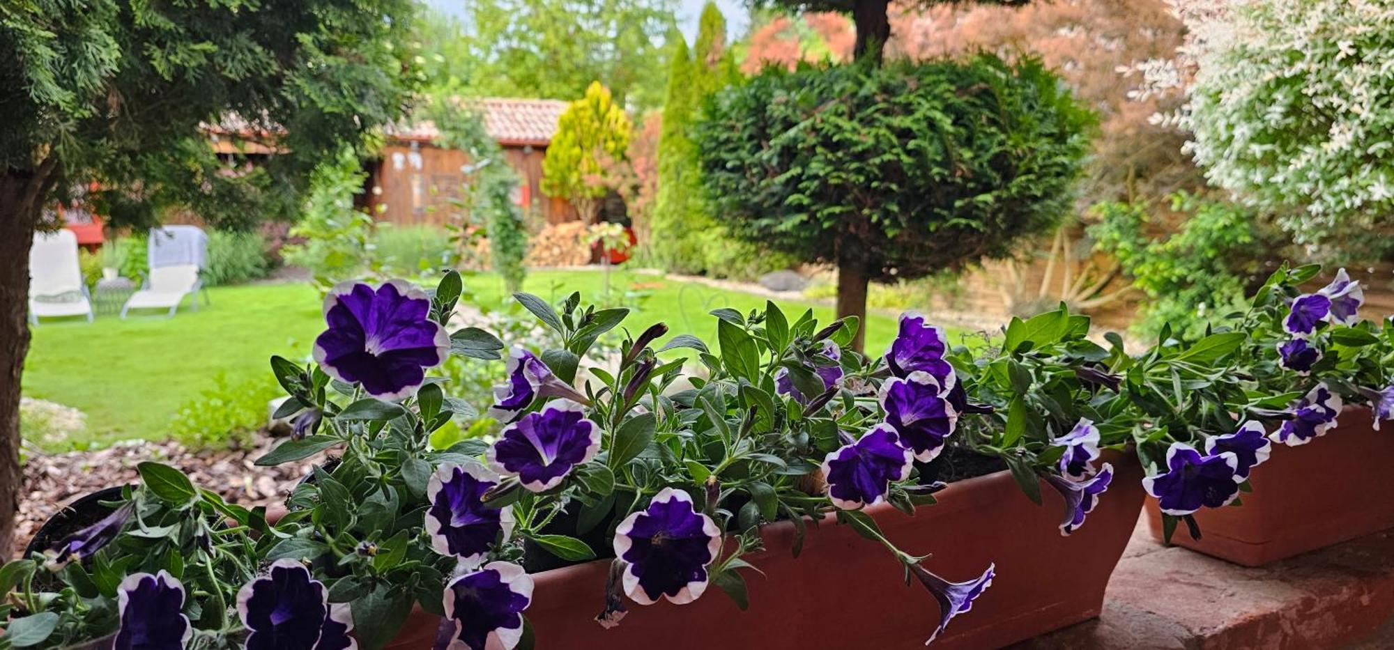 Nyirjes Vendégház Balassagyarmat Exterior foto