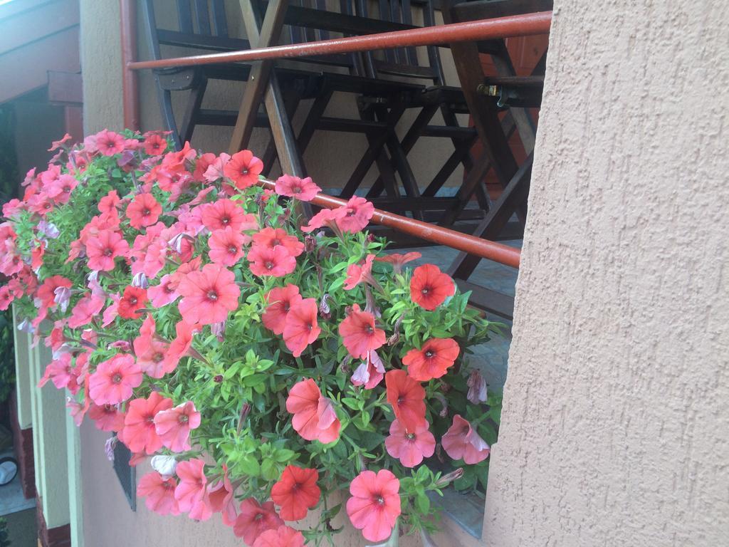 Nyirjes Vendégház Balassagyarmat Exterior foto
