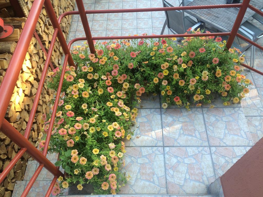 Nyirjes Vendégház Balassagyarmat Exterior foto