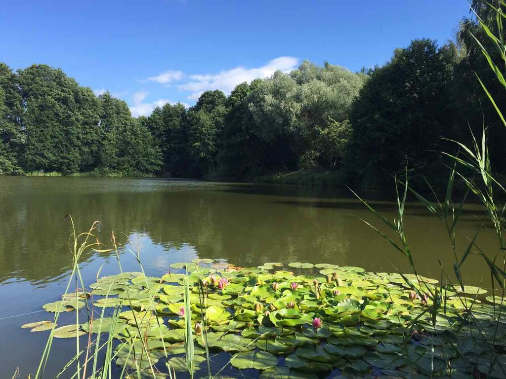 Nyirjes Vendégház Balassagyarmat Exterior foto